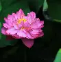 九游唯一入口-base码表